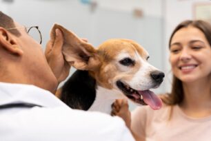 Cliníca Veterinária Aberta 24 horas perto de casa
