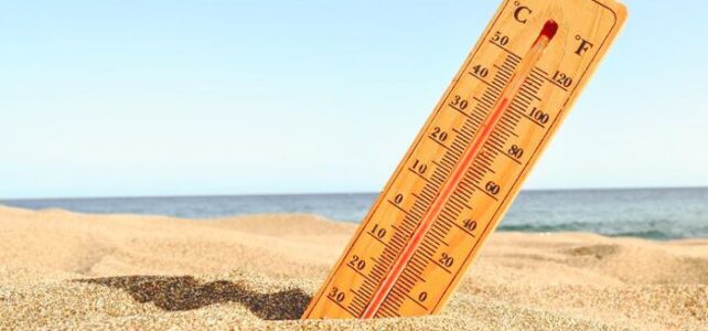 Impactos ambientais recentes e a importância da prevenção