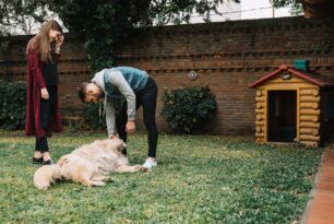 Creche para Cachorro Aberta Perto de Mim
