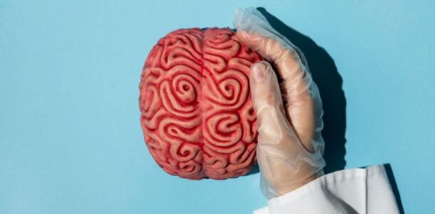 É possível melhorar a cognição com uma soneca e alguns nutrientes