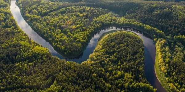 Monitoramento do Desmatamento na Amazônia com Inteligência Artificial: Sucessos e Desafios