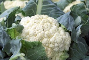 Como cozinhar couve-flor?