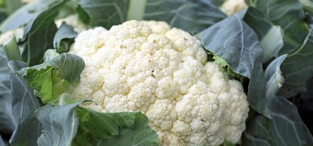 Como cozinhar couve-flor?