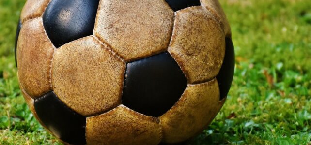Como saber se sua figurinha da Copa 2026 é rara